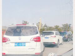 -东郊湿地公园