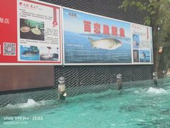 -天怡·鱼工厂(梅溪湖店)