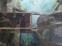 -福州罗源湾海洋世界旅游区