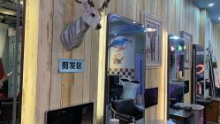 -韩鑫烫染接发·收长头发