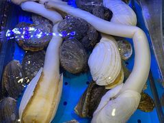 -新海渔港·胶东海鲜家常菜·家宴(奥体中心店)