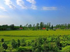 -盐城丹顶鹤湿地生态旅游区