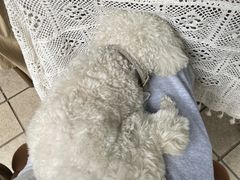 -默迹咖啡馆