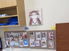 -美联众合动物医院·24h京西诊疗中心