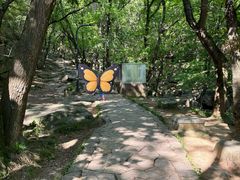 -虞山风景区