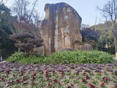 -苏州河梦清园环保主题公园