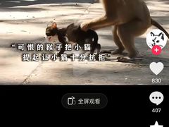 -昆明动物园