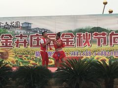 -金卉庄园