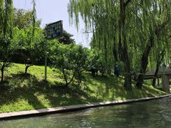 景点-皇家御河游(紫御湾码头)