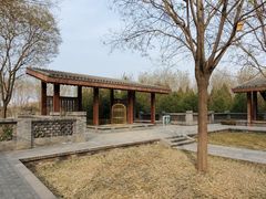 -东郊湿地公园