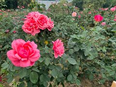 -荔湾区儿童公园