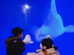 -大连圣亚海洋世界