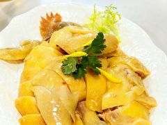 -明本湛江鸡•海鲜小厨(陈家祠店)