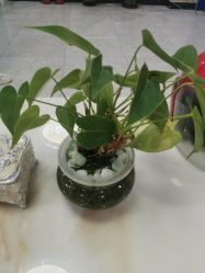 -瑶芳·痘院士专业祛痘·皮肤管理