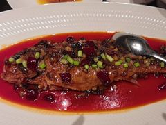 -秀儿四九城·新京菜(亚运村鸟巢店)