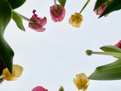 -国家植物园