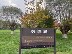 -汉长安城未央宫国家考古遗址公园