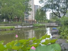 -梧桐人家中国太平国际健康颐养社区