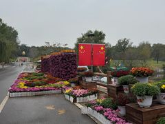 -沈阳植物园