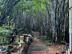 -火炉山森林公园