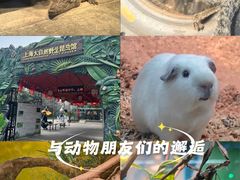 -上海大自然野生昆虫馆(东方明珠·爬宠昆虫探索中心)