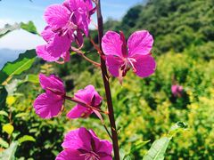 -白草畔自然风景区