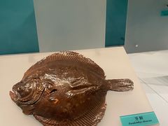 -天津自然博物馆