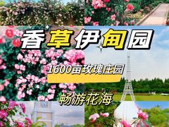 -张公山寨景区