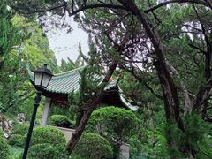 -叶家花园