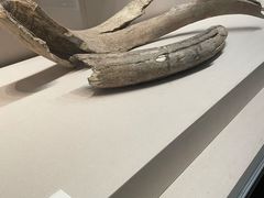 -齐齐哈尔市博物馆