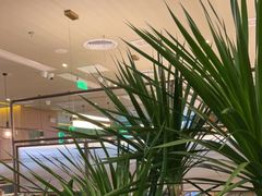 -润园四季椰子鸡火锅(南山海岸城店)