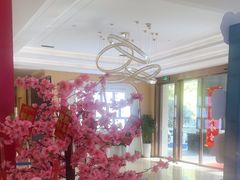 -合肥美奥口腔·种植矫正中心(政务院)