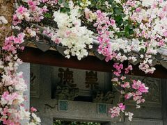 -深圳国际园林花卉博览园