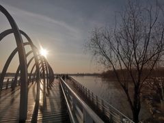 -大兴滨河森林公园