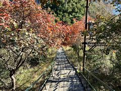 -京东石林峡风景区