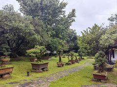 -木子山庄·安徽省老字号·中国炖锅宴
