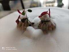 -觀芷隐轩