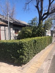 -野鸽脏辫·美式编发专项店