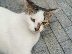 -Wagas沃歌斯(尚街店)