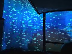 -中国杭州低碳科技馆