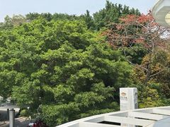 -点都德(广州白云山景区南门店)