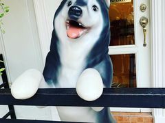 -TrueLove @ Neverland (Husky Cafe)