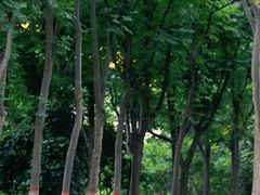 -黄河小浪底水利枢纽风景区