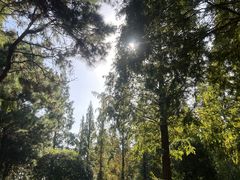 -宝岩生态观光园