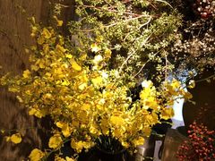-春暖花开(西溪店)