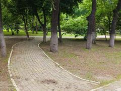 -东北农业大学
