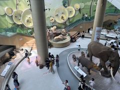 -陕西自然博物馆