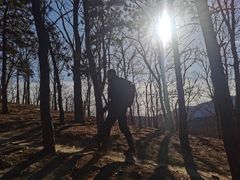 -北京鹫峰国家森林公园