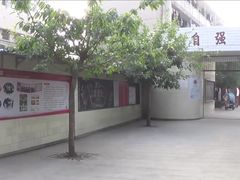 -威远县自强中学校