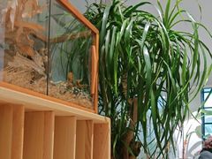 -一尺花园(安和花园店)